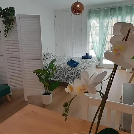 Loft 105 * Κοραλέχο