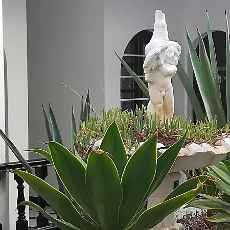 Appartement Loft 105